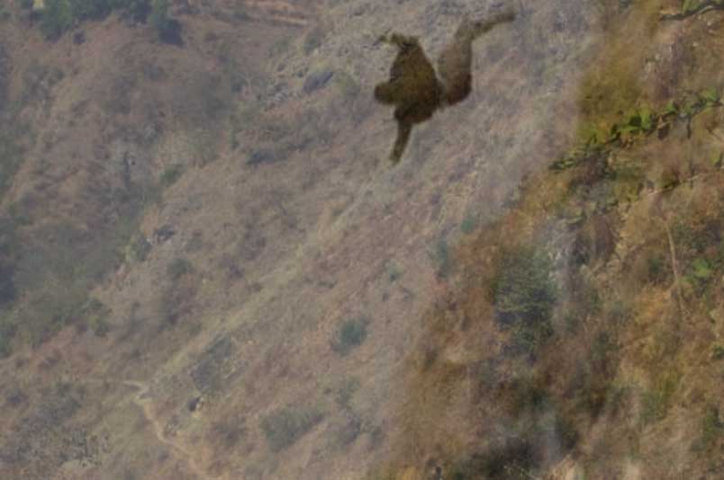 दार्चुलामा भिरबाट लडेर वडा सचिवको  मृत्यु